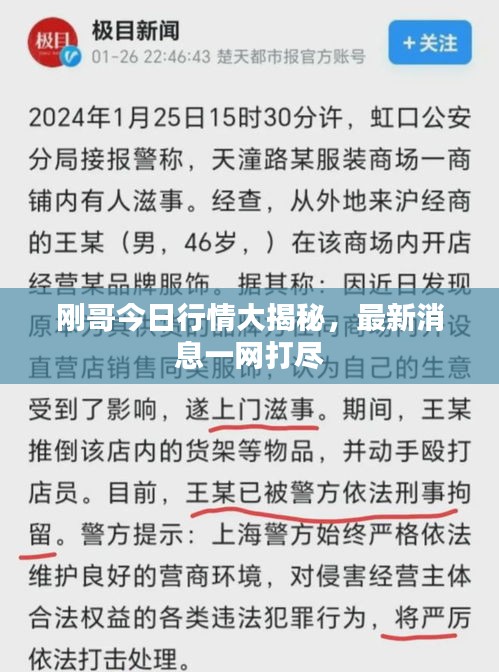 刚哥今日行情大揭秘，最新消息一网打尽