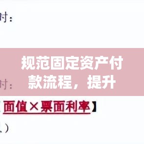 规范固定资产付款流程，提升财务管理效率的关键步骤