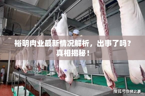 裕明肉业最新情况解析，出事了吗？真相揭秘！