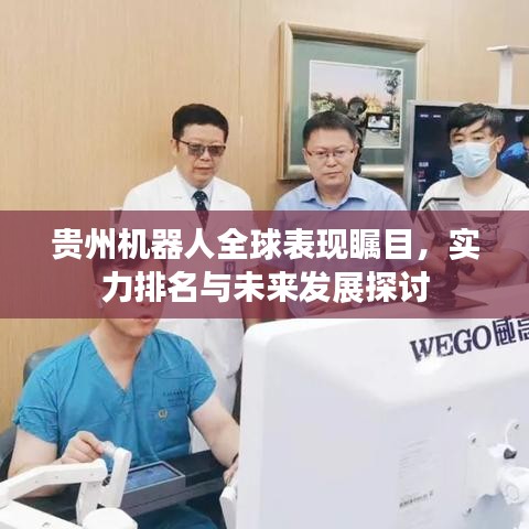 贵州机器人全球表现瞩目，实力排名与未来发展探讨