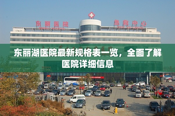 东丽湖医院最新规格表一览，全面了解医院详细信息