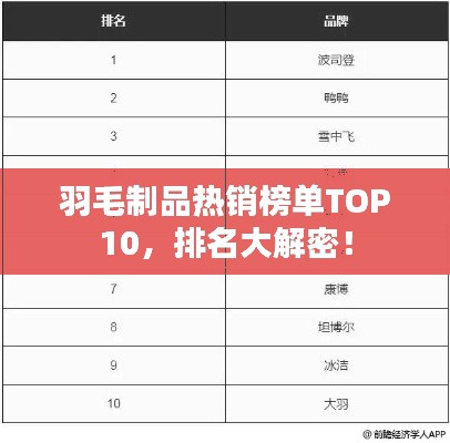 羽毛制品热销榜单TOP10，排名大解密！