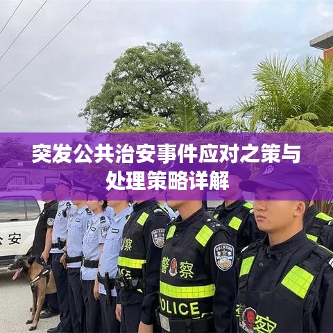 突发公共治安事件应对之策与处理策略详解