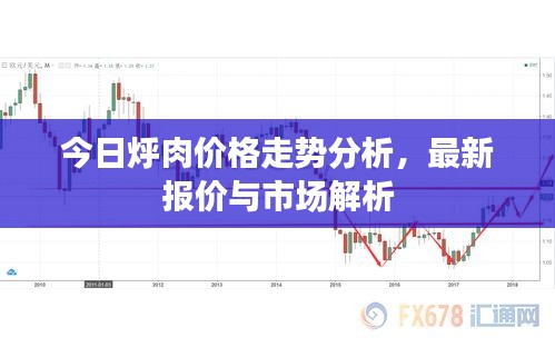 今日烀肉价格走势分析，最新报价与市场解析