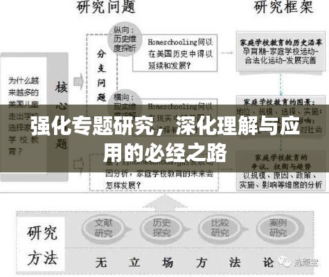 强化专题研究，深化理解与应用的必经之路