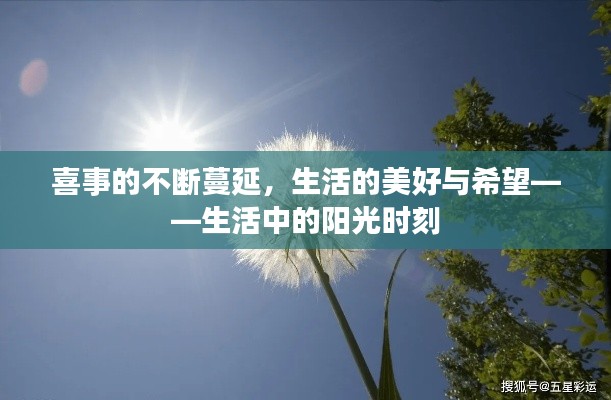 喜事的不断蔓延，生活的美好与希望——生活中的阳光时刻
