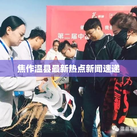 焦作温县最新热点新闻速递