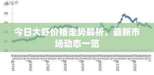 今日大虾价格走势解析，最新市场动态一览