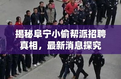 揭秘阜宁小偷帮派招聘真相，最新消息探究