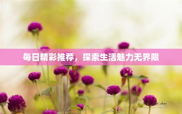 每日精彩推荐，探索生活魅力无界限