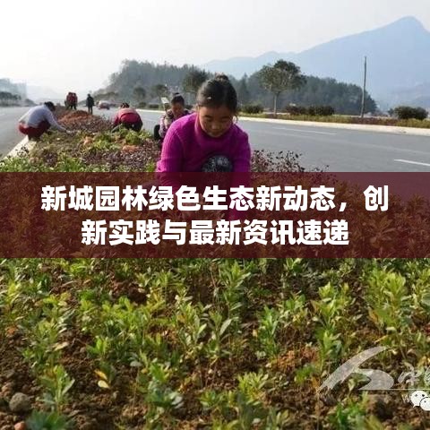 新城园林绿色生态新动态，创新实践与最新资讯速递