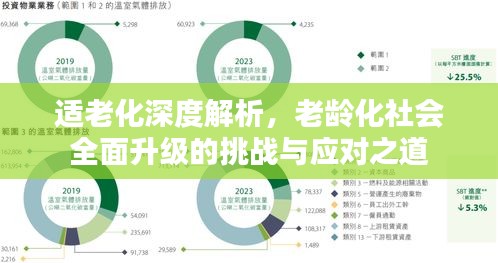适老化深度解析，老龄化社会全面升级的挑战与应对之道