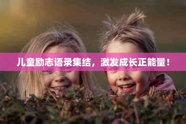 眉目如画