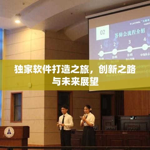 独家软件打造之旅，创新之路与未来展望