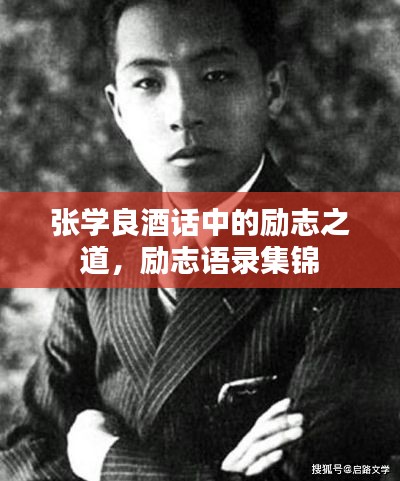张学良酒话中的励志之道，励志语录集锦