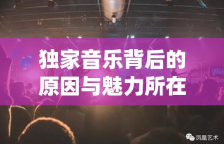 独家音乐背后的原因与魅力所在