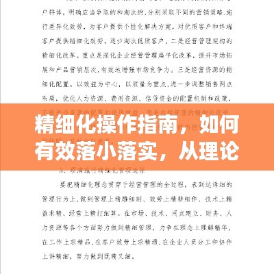 精细化操作指南，如何有效落小落实，从理论到实践的方法论