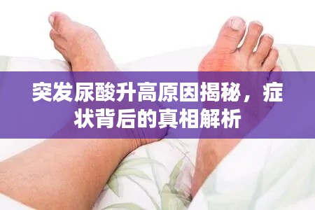 突发尿酸升高原因揭秘，症状背后的真相解析
