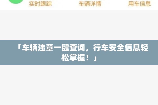 「车辆违章一键查询，行车安全信息轻松掌握！」