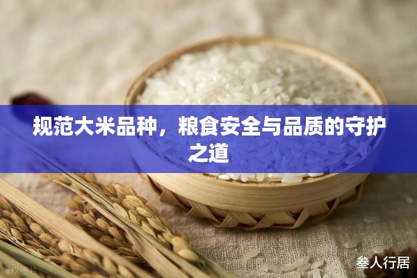 规范大米品种，粮食安全与品质的守护之道