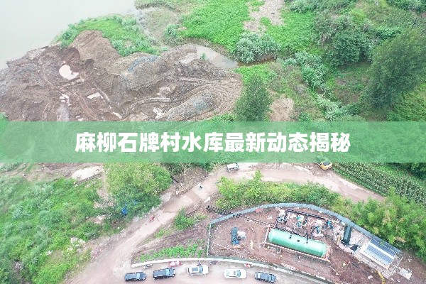 麻柳石牌村水库最新动态揭秘