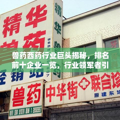 兽药西药行业巨头揭秘，排名前十企业一览，行业领军者引领发展潮流