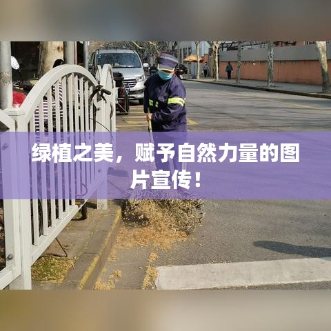 绿植之美，赋予自然力量的图片宣传！