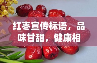红枣宣传标语，品味甘甜，健康相随，养生必备！