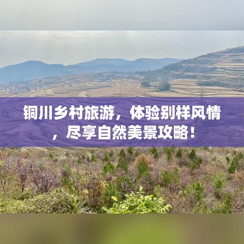 铜川乡村旅游，体验别样风情，尽享自然美景攻略！