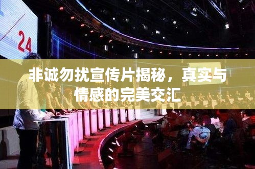 非诚勿扰宣传片揭秘，真实与情感的完美交汇