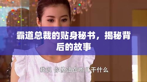霸道总裁的贴身秘书，揭秘背后的故事