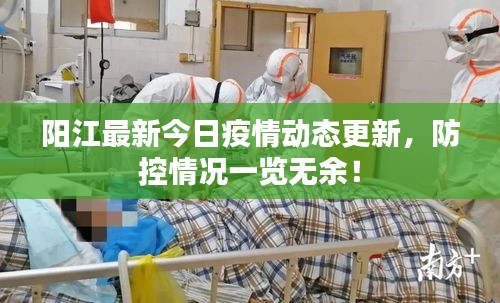 阳江最新今日疫情动态更新，防控情况一览无余！