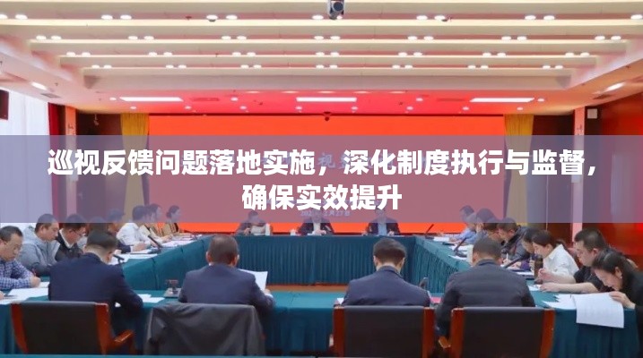 巡视反馈问题落地实施，深化制度执行与监督，确保实效提升