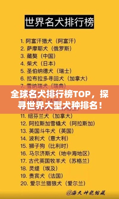 全球名犬排行榜TOP，探寻世界大型犬种排名！