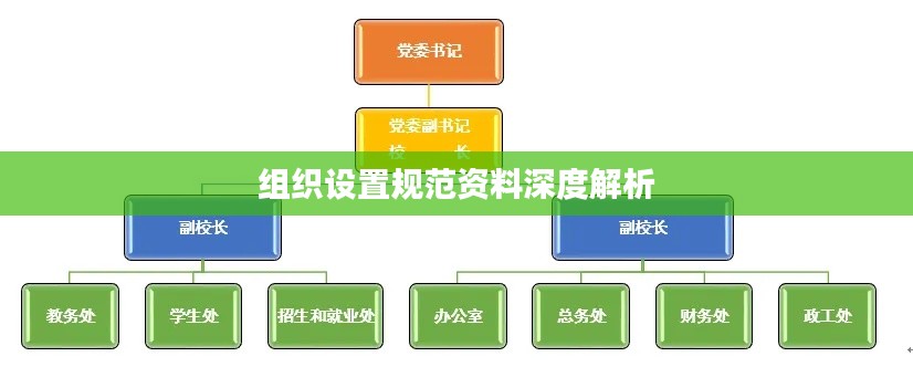 组织设置规范资料深度解析