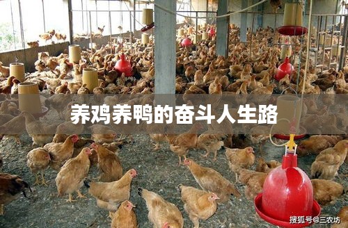 解决方案 第27页