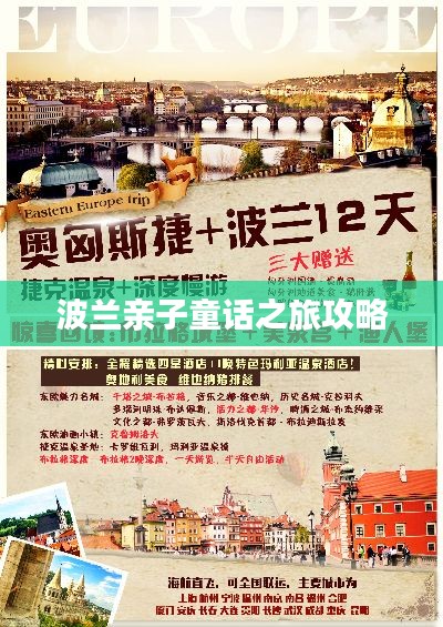不飞则已