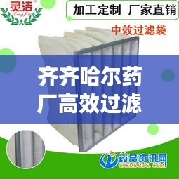 齐齐哈尔药厂高效过滤器，引领制药工业空气净化革新风潮