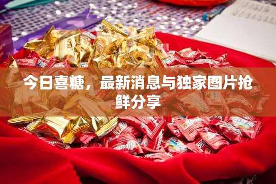 衣不重采