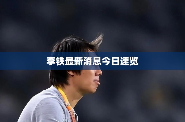 李铁最新消息今日速览