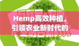 Hemp高效种植，引领农业新时代的绿色革命，开启绿色财富之门！