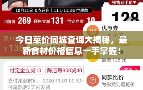 今日菜价同城查询大揭秘，最新食材价格信息一手掌握！