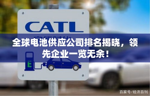 全球电池供应公司排名揭晓，领先企业一览无余！
