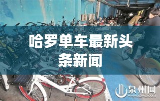 哈罗单车最新头条新闻