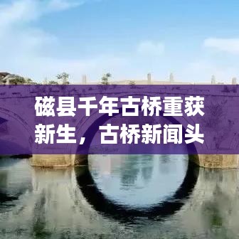 无拘无束