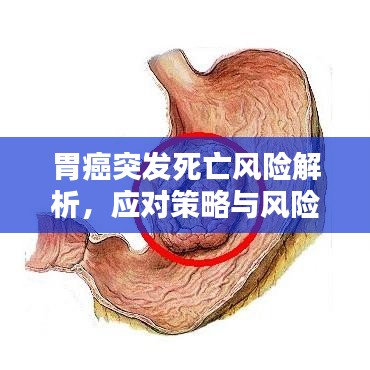 胃癌突发死亡风险解析，应对策略与风险了解