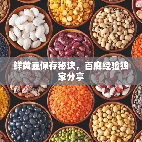 鲜黄豆保存秘诀，百度经验独家分享