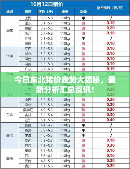 今日东北猪价走势大揭秘，最新分析汇总资讯！