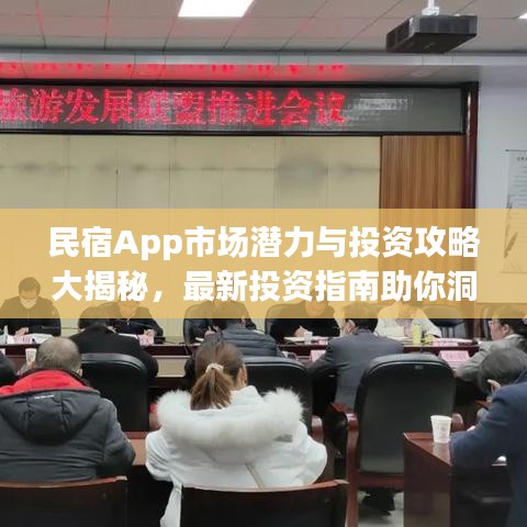 民宿App市场潜力与投资攻略大揭秘，最新投资指南助你洞悉先机！