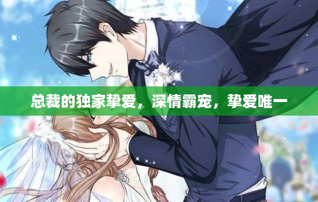 总裁的独家挚爱，深情霸宠，挚爱唯一